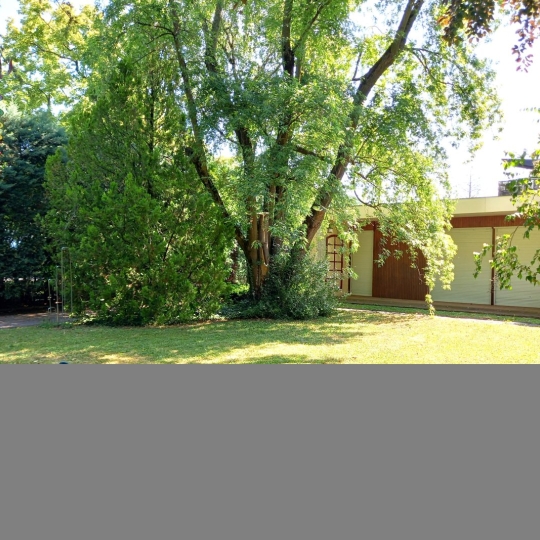  Annonces NEYDENS : Maison / Villa | ANNEMASSE (74100) | 300 m2 | 1 680 000 &euro; 