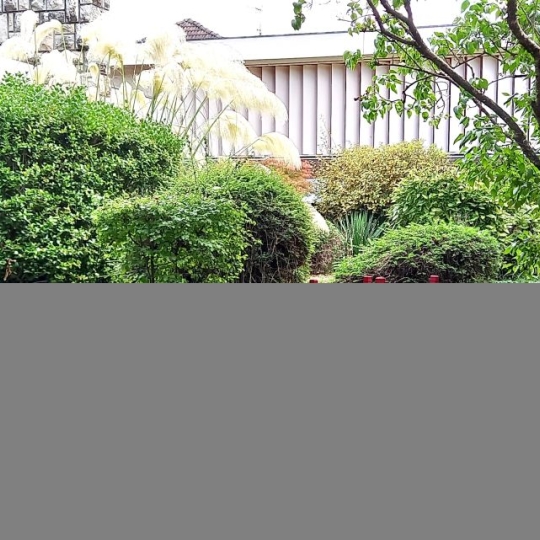  Annonces NEYDENS : Maison / Villa | ANNEMASSE (74100) | 300 m2 | 1 680 000 &euro; 