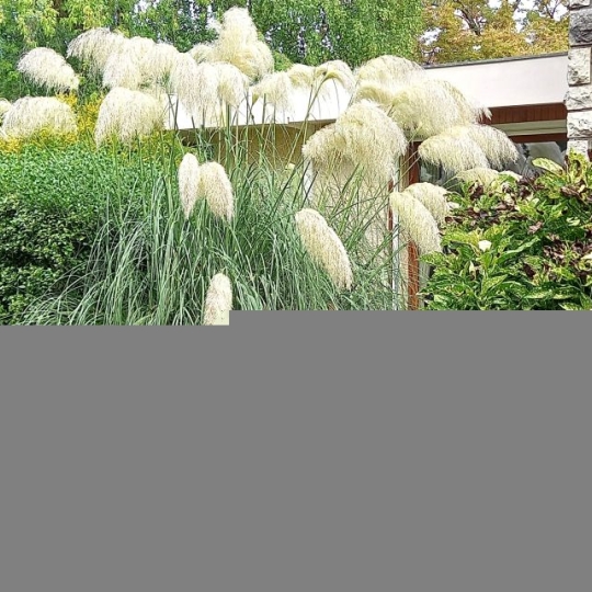  Annonces NEYDENS : Maison / Villa | ANNEMASSE (74100) | 300 m2 | 1 680 000 &euro; 