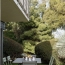  Annonces NEYDENS : Appartement | LYON (69008) | 60 m2 | 280 820 &euro; 
