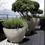  Annonces NEYDENS : Appartement | NEYDENS (74160) | 86 m2 | 433 000 &euro; 